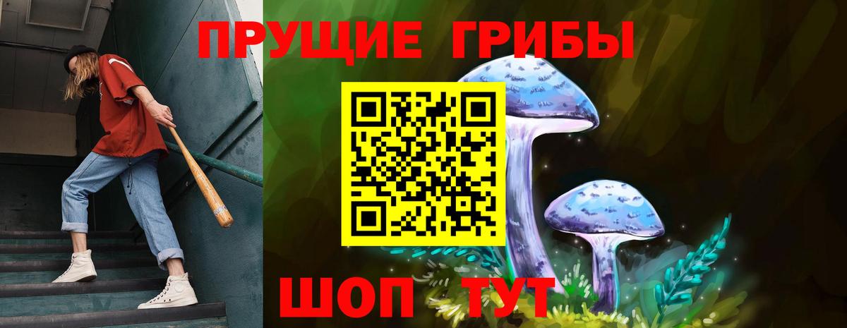 Нарткала  Псилоцибиновые грибы GOLDEN TEACHER  Вход с VPN 